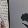 Used the Life set and Wishing You set.  True Black and Rustic White Cardstock.