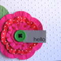 Hello Raspberry Suite Challenge #11