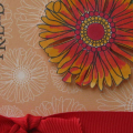 Leigh Ann Baird  www.stampingwithannieb.blogspot.com