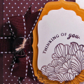 Dark Choc, vintage cream, summer sunrise,kraft.  In Bloom stamp set
