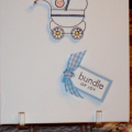 Baby Blue Buggy Blessing
