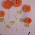 Melon Berry Buttons