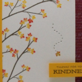 Fall Kindness Card