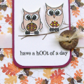 All materials from Papertrey Ink. Vintage Cream, Scarlet Jewel, Autumn Abundance Pattern Paper, Satin Ribbon, Button and Twine.