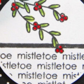 Mistletoe tag close uo