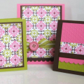 Guide Lines Two, Mixed Messages, Hibiscus Burst, Dark Chocolate
SU - Kiwi Kiss