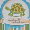 Pond Life Turtle