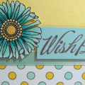Wish Big - the color inspiration came from Rasberry Suite #21.   
Stamps: Papertrey Ink (Polka Dot Basics, Big Bold Wishes, Friends Til The End) 
Ink: Papertrey Ink (Aqua Mist), CTMH...