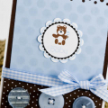 Sweet Baby

Stamp Set(s):  Daily Designs and Daily Designs Sentiments (Urban Design by Alli Miles) by PTI
Cardstock: Stamper's Select White by PTI, Dark Chocolate by PTI, Spring Rain by PTI...