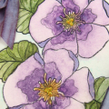 Vintage Violets Detail