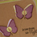Butterflies in Flight Card
