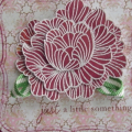 In Bloom card