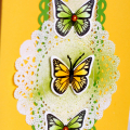 Made using butterfly dreams. Thanks for taking a peek!