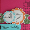 Silly 17 Birthday