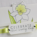 Celebrate Daffodil