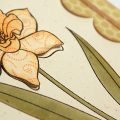 Rustic Daffodil Card - detail