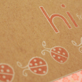 Ladybug Hi Card - detail