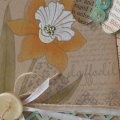 Daffodil-Card