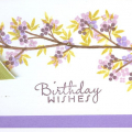 Not my usual color scheme!  Ii rarely use plums, but wanted to use this fun paper.  I thought it would look perfect with the Out on a Limb set - I just extended the branch so it filled up the...