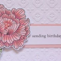 In Bloom; Sweet Blush & Stamper's Select White Card; Cuttlebug embossing folder; Copics