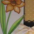 Stamp Set: Year of Flowers:Daffodil
Paper: Vintage Cream, Pure Black, So Saffron DP (SU!)
Ink: Tuxedo Black, Linen Distress Ink
Others: Border Punch (SU!), Striped Grosgrain Ribbon, Kaiser...
