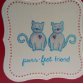 Purr-fect Friend