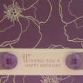 Wishing You a Happy Birthday