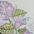 Sweet Peas Card Closeup of Flowers