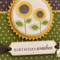 Sunflower Birthday Wishes