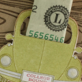 Money Bug Detail