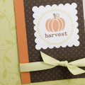 Stamp Set(s):  Daily Designs and Daily Designs Sentiments (Urban Design by Alli Miles) by PTI, Beyond Basic Borders by PTI
Cardstock: Stamper's Select White by PTI, Spring Moss by PTI, Orange...