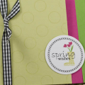 Stamp Set(s):  Daily Designs and Daily Designs Sentiments (Urban Design by Alli Miles) by PTI, Polka Dot Basics by PTI
Cardstock: Stamper's Select White by PTI, Spring Moss by PTI, Raspberry Fizz...
