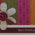 Stamps: images and sentiment from Shapes by Design by PTI
Ink: Snow Cap by PTI, Raspberry Fizz by PTI, Pure Avocado by PTI, Terra Cotta Tile by PTI, Orange Zest by PTI, Scarlet Jewel by PTI...