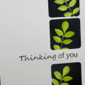 Stamp Set(s): Take Three: Spring (Urban Design by Alli Miles) by PTI
Ink: Stamper's Select White by PTI, New Leaf by PTI
Accents: Black Emboss Powder
Tools: Scallop Punch by EK Success, Copic...