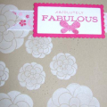 Absolutely Fabulous!