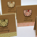 Special Delivery Mini Cards