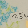 Too-Kind-card-detail