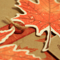 Red Maple Fall Card - detail