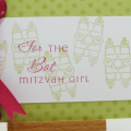 tarasimmons.batmitzvahfront