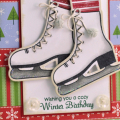 Cozy Winter Birthday Skates