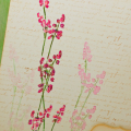 Pink Sprig Appreciation detail