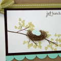 Amy Rysavy - Just Hatched Card