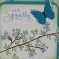 Butterfly Sympathy