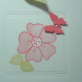Sweet Blush Flower Garden