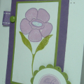 Plum Pudding Flower Garden CAS