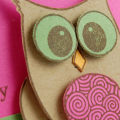 Layered Owl close up