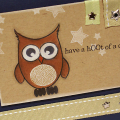 Hoot Day Owl Card
