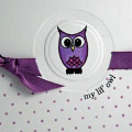 Supplies

Stamps:
-Wise Owl (Urban Design) by PTI
-Polka Dot Basics by PTI

Cardstock:
-Plum Pudding by PTI
-Stamper's Select White by PTI

Ink:
-Plum Pudding by PTI
-Noir Black...
