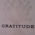 close up  gratitude