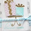 Birthday Wishes Card